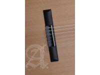 Alhambra Z-Nature incl. Gig Bag Alhambra Z-Nature incl. Gig Bag